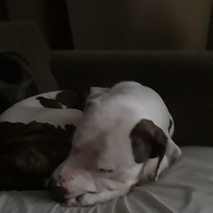 Meet your Posher, Don